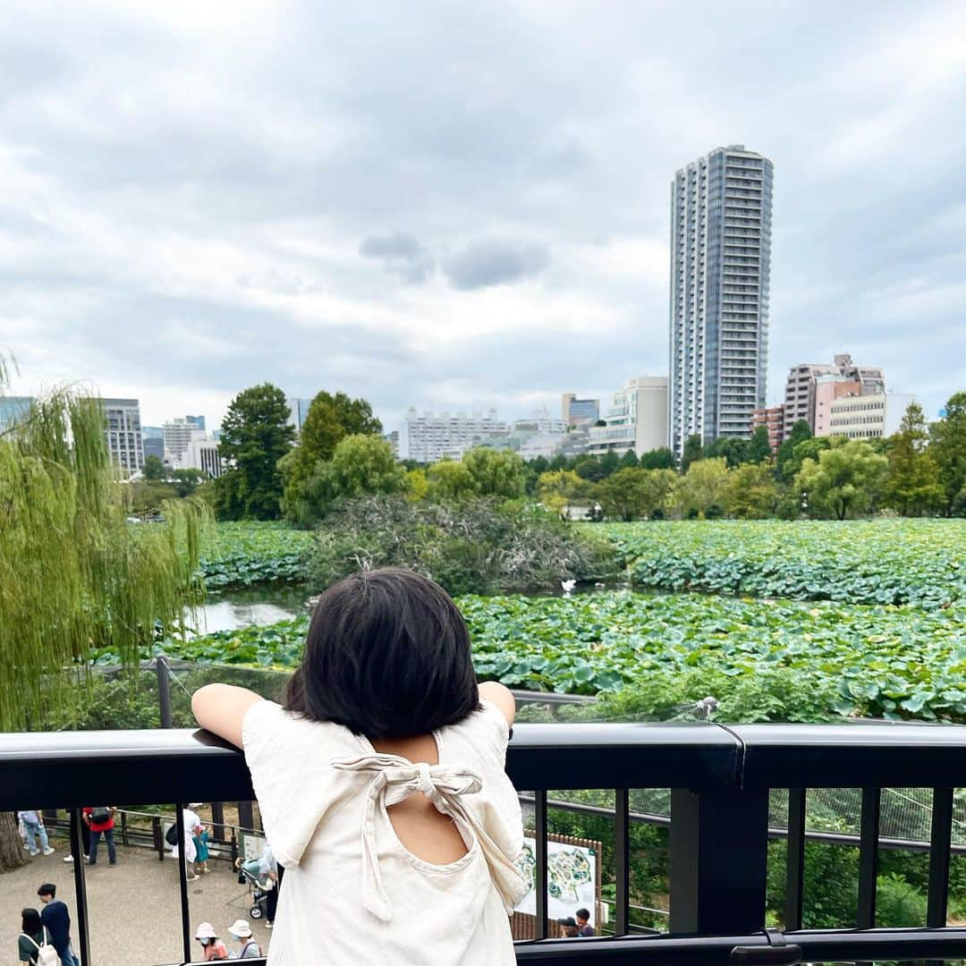 新井美穂さんのインスタグラム写真 - (新井美穂Instagram)「娘に「動物園行きたい！」と熱望され 今日は#上野動物園  入り口見た瞬間、ルンルンだった娘が停止😅  娘は自然に囲まれた「多摩動物園」で「こびとずかん」のこびとを探しに行きたかったらしい。  「この動物園じゃない。動物を見たかったわけじゃないの」って 動物園の入り口で何言うとんねーん！ こびとなんか、どこにもおらんわー💢 と、思わず子供の夢壊す事言ってしまったけど 娘はまだ、しぶとく「こびと」を信じてる😌（笑）  なんやかんやで、久しぶりにパンダも見れてご満悦の娘でした🐼❤️  #娘7歳5ヵ月」9月30日 16時36分 - arai_miho