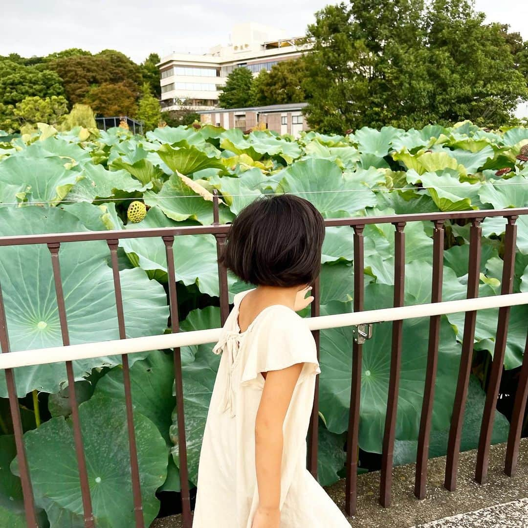 新井美穂さんのインスタグラム写真 - (新井美穂Instagram)「娘に「動物園行きたい！」と熱望され 今日は#上野動物園  入り口見た瞬間、ルンルンだった娘が停止😅  娘は自然に囲まれた「多摩動物園」で「こびとずかん」のこびとを探しに行きたかったらしい。  「この動物園じゃない。動物を見たかったわけじゃないの」って 動物園の入り口で何言うとんねーん！ こびとなんか、どこにもおらんわー💢 と、思わず子供の夢壊す事言ってしまったけど 娘はまだ、しぶとく「こびと」を信じてる😌（笑）  なんやかんやで、久しぶりにパンダも見れてご満悦の娘でした🐼❤️  #娘7歳5ヵ月」9月30日 16時36分 - arai_miho