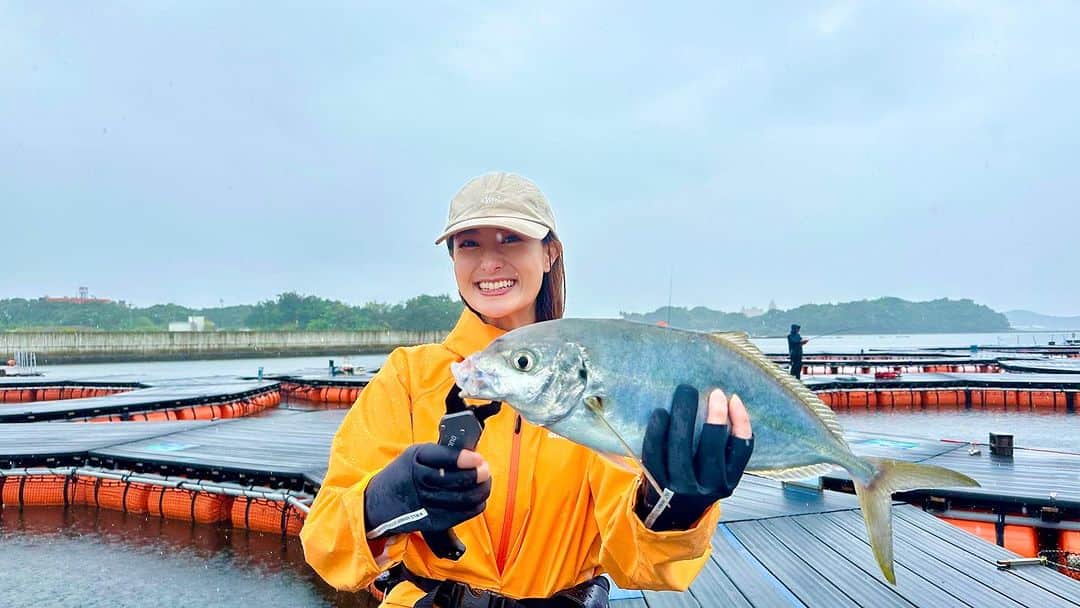 高橋麻美さんのインスタグラム写真 - (高橋麻美Instagram)「． ． 今日夜9時から 釣りビジョン『海釣りギャラリー』見てね😆  釣りビジョンVODなら２週間無料で見られるよ🙆‍♀️ Xではリツイート（であってる？）で VOD3ヶ月無料チケットが当たるキャンペーンも✨ 偏光サングラスとか他の景品もあるからチェックしてね🫶  #釣り#釣りビジョン#vod#プレゼント#キャンペーン #fishing#カタタの釣り堀#和歌山#南紀白浜#釣り堀 #大物釣り#青物#真鯛#カンパチ#モンスター#シマアジ #テクニック#ウキ釣り#サグリ釣り#数釣り#とれとれ市場  #とれとれヴィレッジ」9月30日 16時34分 - charmy421