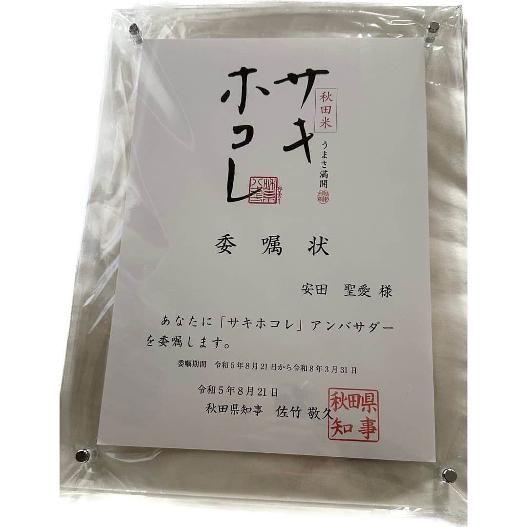 安田聖愛さんのインスタグラム写真 - (安田聖愛Instagram)「⁡ 秋田米「サキホコレ」のアンバサダーに就任致しました！ ⁡ 大好きな秋田のお米のアンバサダー、とても光栄です☺️ ⁡ ツヤツヤもちもちで上品なお味のするサキホコレ ぜひ皆さんも食べてみてね〜！ ⁡ 3枚目のサキホコレのクッション、パッケージのシンプルさが 好きなので嬉しい😊 ⁡ #サキホコレ　#秋田米　#秋系821  #サキホコレアンバサダー」9月30日 16時41分 - seiayasuda