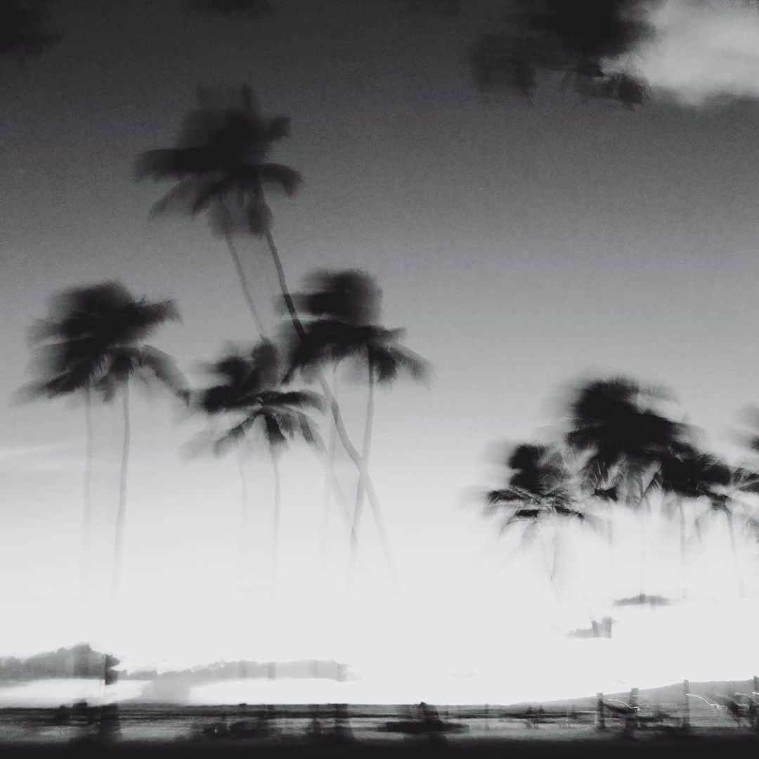 山中美智子のインスタグラム：「🎞️🌴📸」