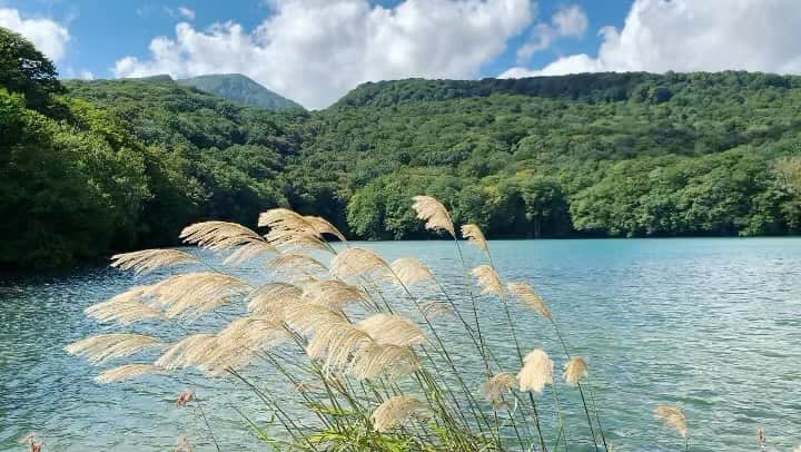 稲葉千秋のグルメインスタ