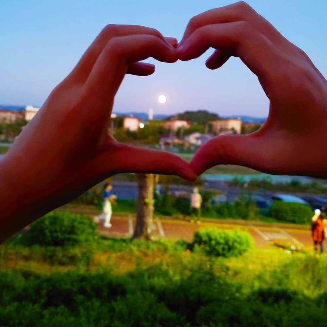 高井俊彦さんのインスタグラム写真 - (高井俊彦Instagram)「昨夜の楽し過ぎた👏 #奈良市公園夢プロジェクト #ミニお月見まつり  感動余韻写真📷✨  小学生高学年くらいの女の子のグループが月の素敵な写真の撮り方を教えてくれて、手でハートを作ってくれたよ〜🫶💓  そしてー。盛り上げて下さった出店者の皆さん🤗 その①  つづく・・・」9月30日 17時24分 - takai_toshihiko