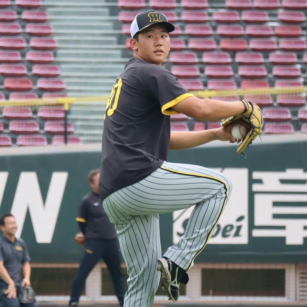 阪神タイガースさんのインスタグラム写真 - (阪神タイガースInstagram)「9月30日広島戦の試合前練習の様子です！ #門別啓人 選手 #島本浩也 選手 #馬場皐輔 選手 #坂本誠志郎 選手 #島田海吏 選手 #小幡竜平 選手 #佐藤輝明 選手 #木浪聖也 選手 #桐敷拓馬 選手 #小野寺暖 選手 #阪神タイガース #JERAセリーグ #ARE」9月30日 17時26分 - hanshintigers_official