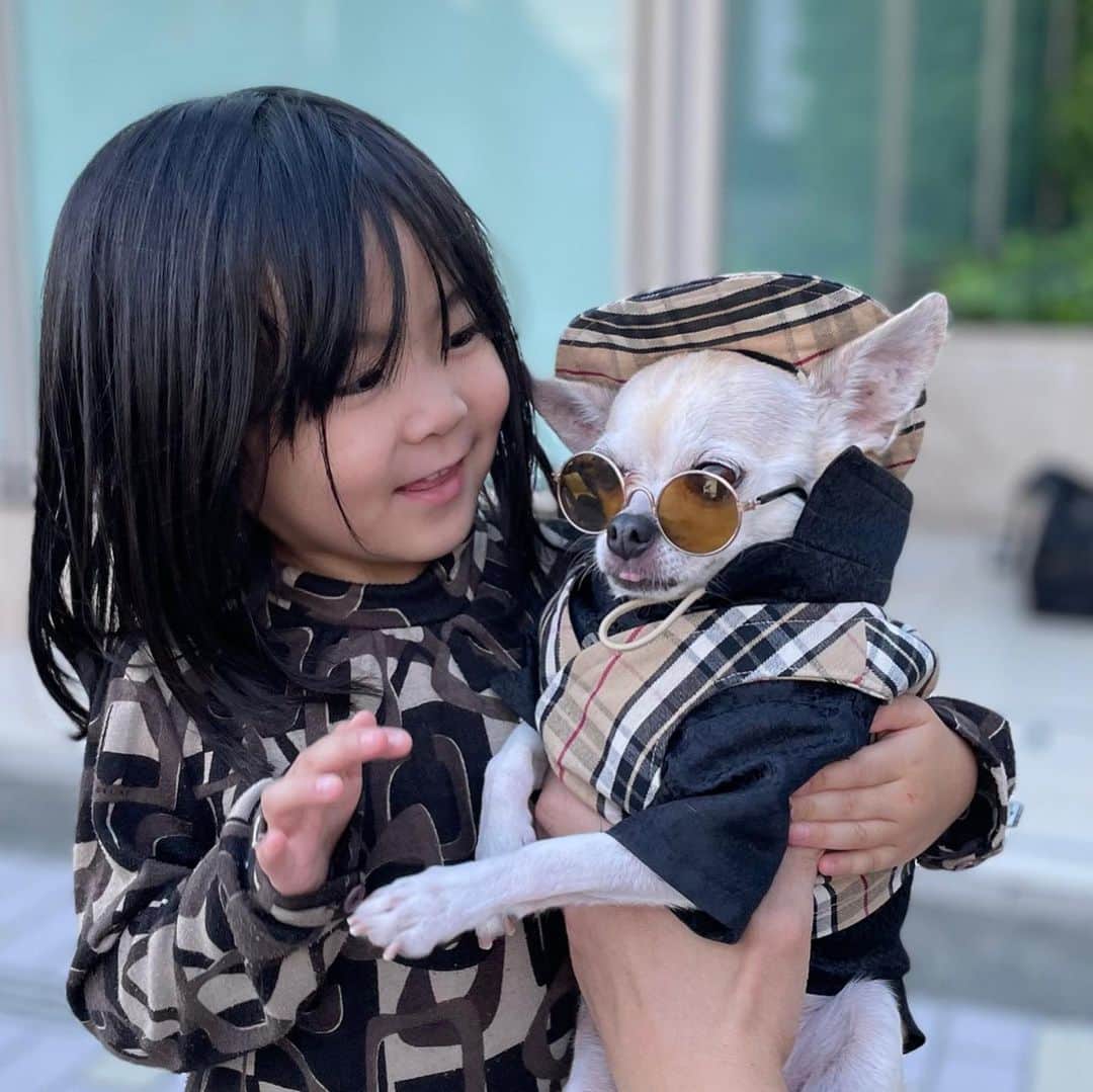 紋次郎さんのインスタグラム写真 - (紋次郎Instagram)「かわいいったらありゃしない😊 知らない子だけど、パパにスマホ渡して撮ってもらった 遠くから見たらDior にみえたけのCELINEでした😅 おしゃれさんでした  #dog#dogstagram#instadog#chihuahua#barkbox#mydogiscutest#buzzfeed#dog_features#fluffypack#barkpack#dogsofinstagram#犬#チワワ#手作り#handmade#着物#fashion#紋次郎一家#チーム茶#ふわもこ部#igersjp#peco犬部#dogfashion #whisky」9月30日 17時26分 - montjiro