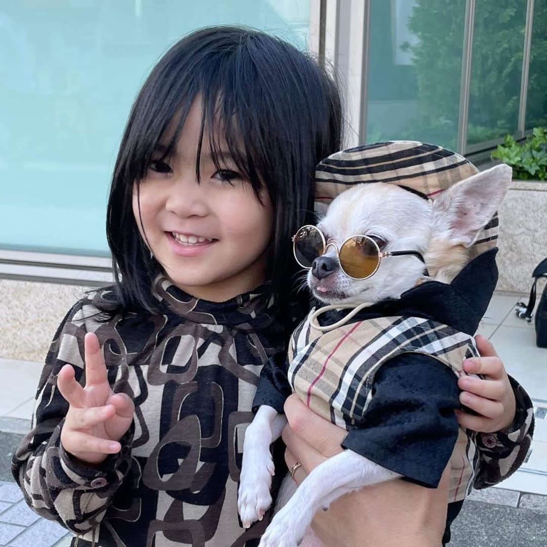 のインスタグラム：「かわいいったらありゃしない😊 知らない子だけど、パパにスマホ渡して撮ってもらった 遠くから見たらDior にみえたけのCELINEでした😅 おしゃれさんでした  #dog#dogstagram#instadog#chihuahua#barkbox#mydogiscutest#buzzfeed#dog_features#fluffypack#barkpack#dogsofinstagram#犬#チワワ#手作り#handmade#着物#fashion#紋次郎一家#チーム茶#ふわもこ部#igersjp#peco犬部#dogfashion #whisky」