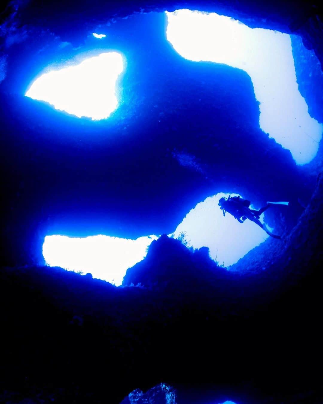 大関れいかさんのインスタグラム写真 - (大関れいかInstagram)「. 宙に浮いてる🫧 くにさんの最高写真。 宮古島の地形はほんとすごくて 潜ってて楽しいし感動の連続なの🧜🏻‍♀️  🛥️ @aquastory_miyakoisland  📷 @aquastorykuni   #宮古島#ダイビング」9月30日 17時37分 - _reikaoozeki