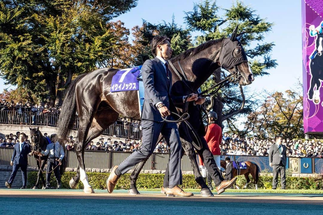 netkeibaさんのインスタグラム写真 - (netkeibaInstagram)「ㅤㅤㅤㅤㅤㅤㅤㅤㅤㅤㅤㅤㅤㅤㅤ ㅤㅤㅤㅤㅤㅤㅤㅤㅤㅤㅤㅤㅤㅤ #天皇賞秋 winner 🌙  #イクイノックス (牡4、美浦・ #木村哲也 厩舎) ㅤㅤㅤㅤㅤㅤㅤㅤㅤㅤㅤㅤㅤ #クリストフルメール 騎手 #christophelemaire #キタサンブラック #シャトーブランシュ . . #instahorse #horsetagram #thoroughbred #horseracing #horse #horseofinstagram #keiba #競馬 #馬 #Equinox #天覧競馬  撮影：下野雄規」10月29日 20時49分 - netkeiba