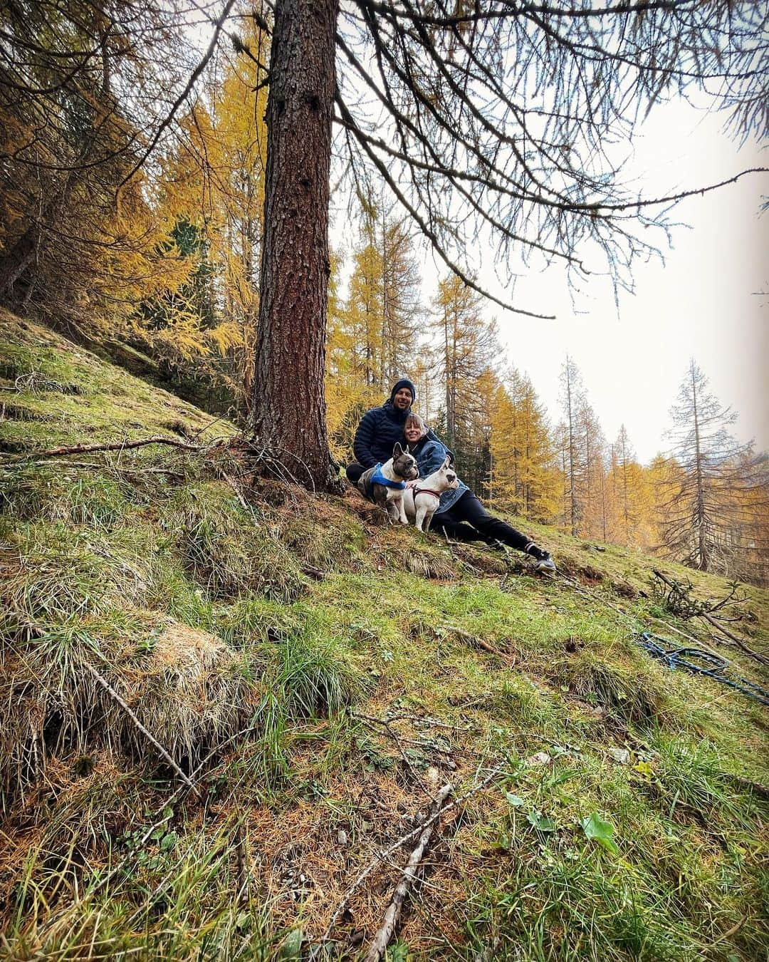 フェデリカ・ペレグリニのインスタグラム：「Perdersi nei boschi 🍂」