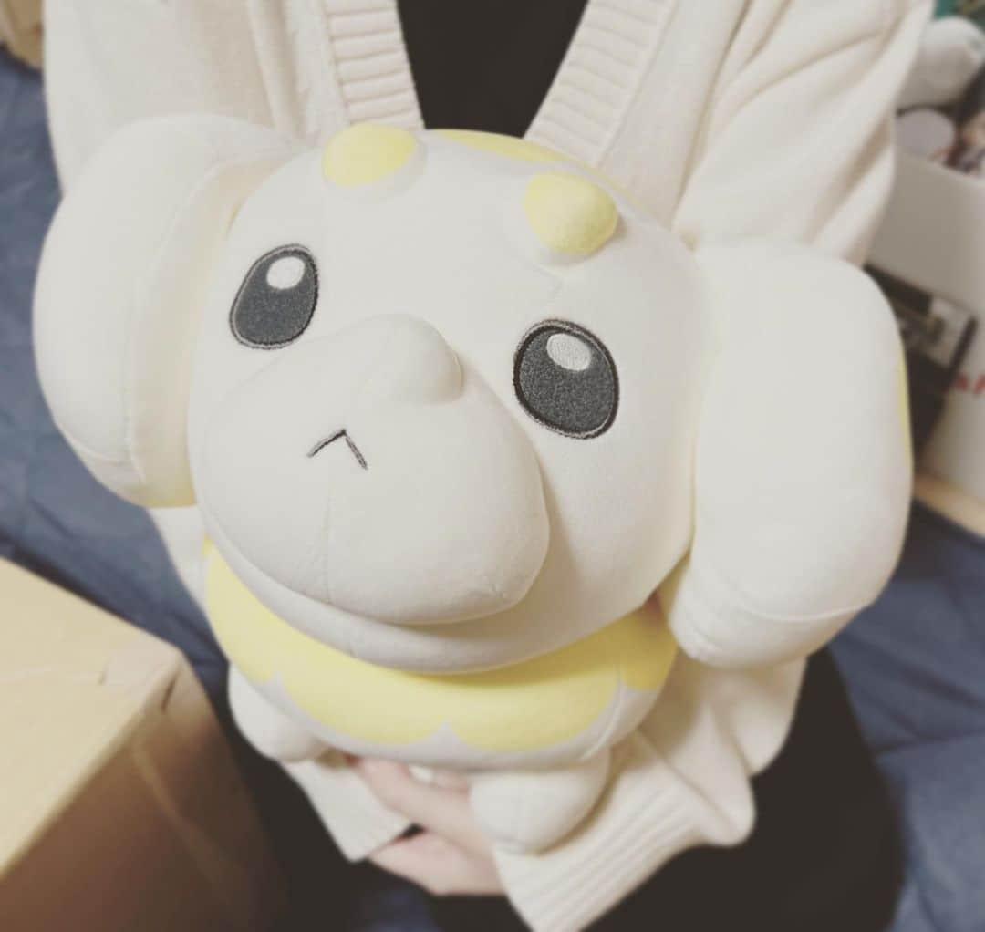 トラゾーさんのインスタグラム写真 - (トラゾーInstagram)「ポケモンセンターに売ってたパピモッチとイナリさん」10月29日 20時49分 - torazo0502