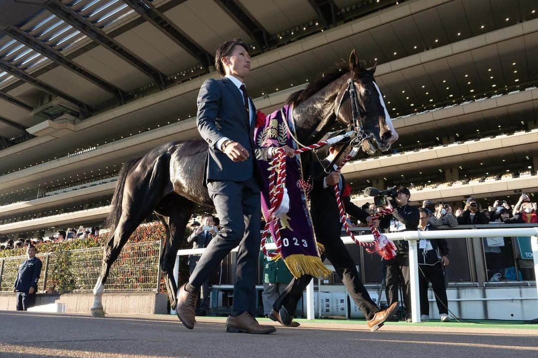 netkeibaさんのインスタグラム写真 - (netkeibaInstagram)「ㅤㅤㅤㅤㅤㅤㅤㅤㅤㅤㅤㅤㅤㅤㅤ ㅤㅤㅤㅤㅤㅤㅤㅤㅤㅤㅤㅤㅤㅤ #天皇賞秋 winner 🌙  #イクイノックス (牡4、美浦・ #木村哲也 厩舎) ㅤㅤㅤㅤㅤㅤㅤㅤㅤㅤㅤㅤㅤ #クリストフルメール 騎手 #christophelemaire #キタサンブラック #シャトーブランシュ . . #instahorse #horsetagram #thoroughbred #horseracing #horse #horseofinstagram #keiba #競馬 #馬 #Equinox #天覧競馬  撮影：下野雄規」10月29日 20時53分 - netkeiba