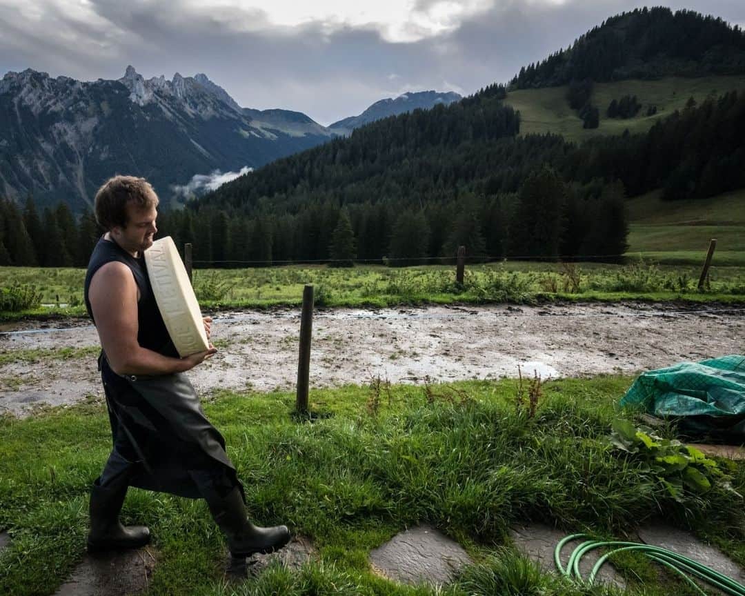 AFP通信さんのインスタグラム写真 - (AFP通信Instagram)「High- altitude cheese in Switzerland⁣ ⁣ Cheesemaker Cedric Maire crafts L'Etivaz mountain pasture cheese, a hard Swiss cheese made from raw cow's milk and only produced during the summer season, near La Lecherette, western Switzerland.⁣ ⁣ 📷 @coffrinews #AFP」10月29日 21時01分 - afpphoto
