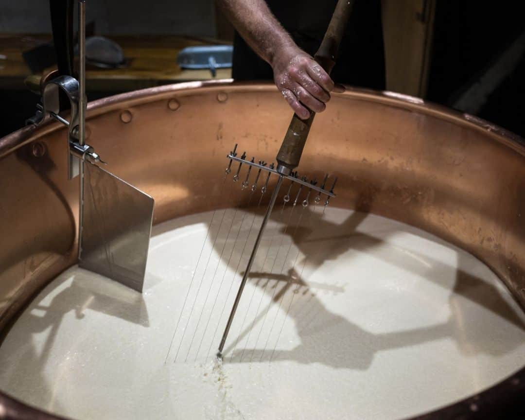 AFP通信さんのインスタグラム写真 - (AFP通信Instagram)「High- altitude cheese in Switzerland⁣ ⁣ Cheesemaker Cedric Maire crafts L'Etivaz mountain pasture cheese, a hard Swiss cheese made from raw cow's milk and only produced during the summer season, near La Lecherette, western Switzerland.⁣ ⁣ 📷 @coffrinews #AFP」10月29日 21時01分 - afpphoto