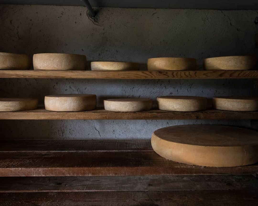 AFP通信さんのインスタグラム写真 - (AFP通信Instagram)「High- altitude cheese in Switzerland⁣ ⁣ Cheesemaker Cedric Maire crafts L'Etivaz mountain pasture cheese, a hard Swiss cheese made from raw cow's milk and only produced during the summer season, near La Lecherette, western Switzerland.⁣ ⁣ 📷 @coffrinews #AFP」10月29日 21時01分 - afpphoto