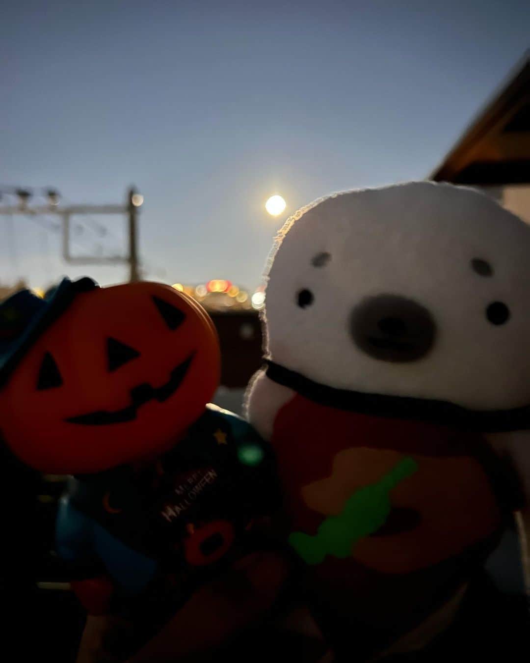 江口ともみさんのインスタグラム写真 - (江口ともみInstagram)「しょーいちだよ✨  今日は満月🌕綺麗だね ハンターズムーンだってさ  木星が近くにいるけど、カメラ寄ったらボケちゃうね💦撮影も楽に出来る天体望遠鏡欲しいなぁ✨  ん？となりの君だれ？  #fumofumosan #フモフモさん #しょーいち #満月#ハンターズムーン #もうすぐハロウィン🎃 #ジャックオーランタン」10月29日 21時01分 - tomomin.eguchi