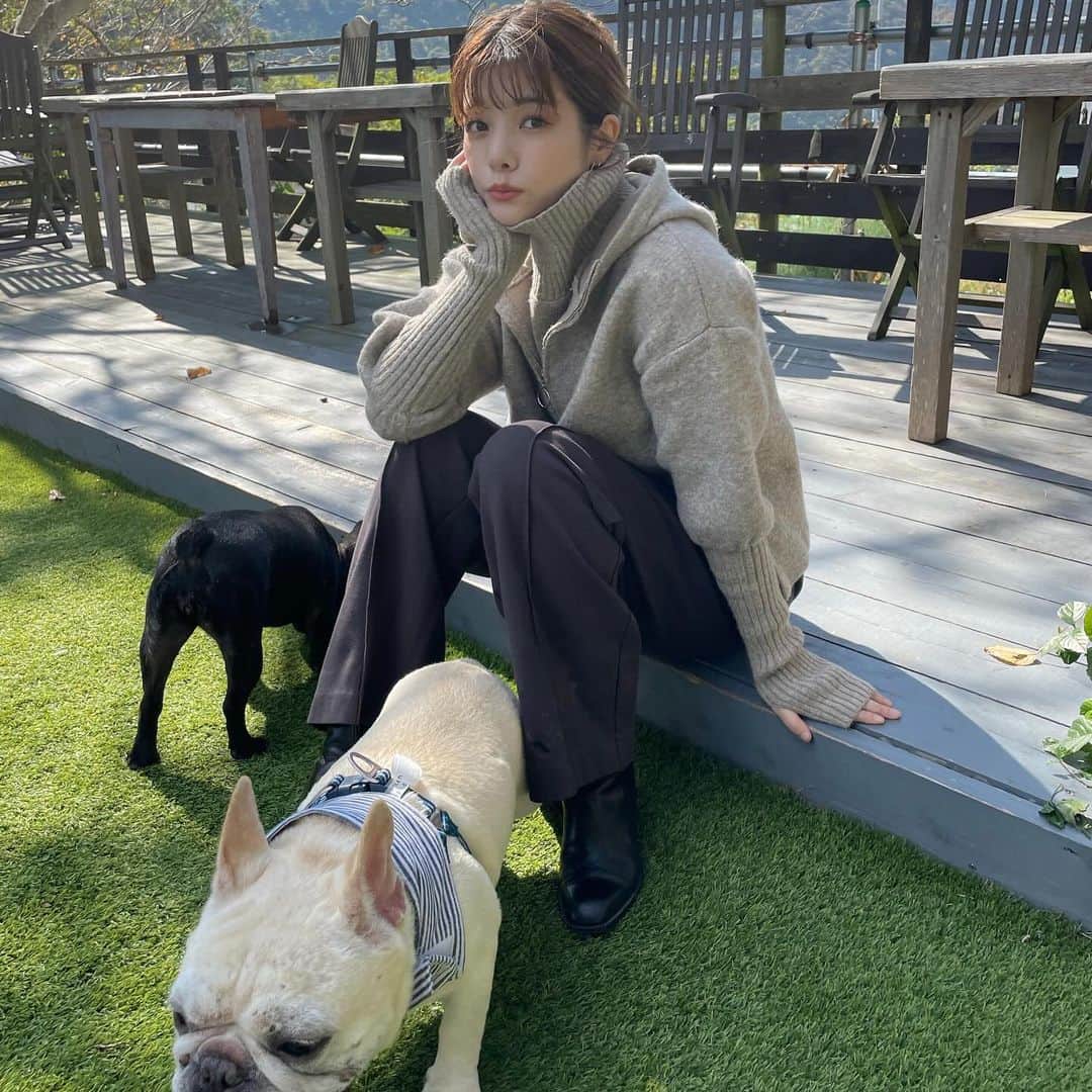 西谷菜々さんのインスタグラム写真 - (西谷菜々Instagram)「. 秋のアーセン🐶🍂🍁🌰🌾  #ドッグランでランしない犬  #あなたたちそれ家と変わんなくない？ #earthenplace  #アーセンプレイス」10月29日 21時01分 - nana_nishitani