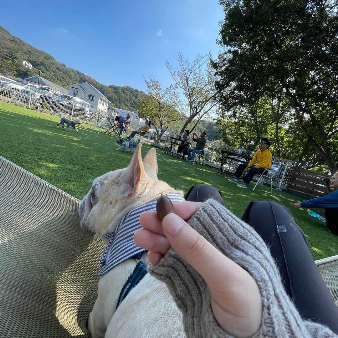 西谷菜々さんのインスタグラム写真 - (西谷菜々Instagram)「. 秋のアーセン🐶🍂🍁🌰🌾  #ドッグランでランしない犬  #あなたたちそれ家と変わんなくない？ #earthenplace  #アーセンプレイス」10月29日 21時01分 - nana_nishitani