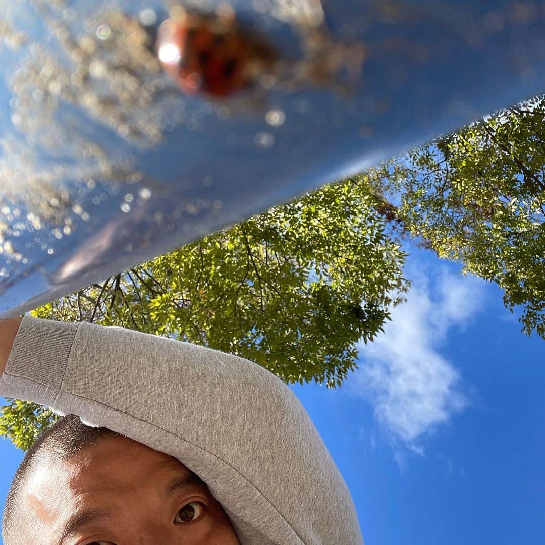 のインスタグラム：「今日は公園で斑紋の多めのてんとう虫を見つけました。  週末の公園はパパさんが多めで、静かです。  別にママさん達がうるさいとかそう言う話ではないので。  …  …  午後からは京都先端科学大学亀岡キャンパスの学園祭でした。  のどか〜。  こう言うとこ来るといつもあれを思い出します。  酸素を。  ビンゴ大会の景品が質も量も過去1豪華だったので、来年は演者ではなくビンゴ参加者として行きたいです。  マジっす。  ウッス。  明日は吉本の交通安全研修と赤maruです。」