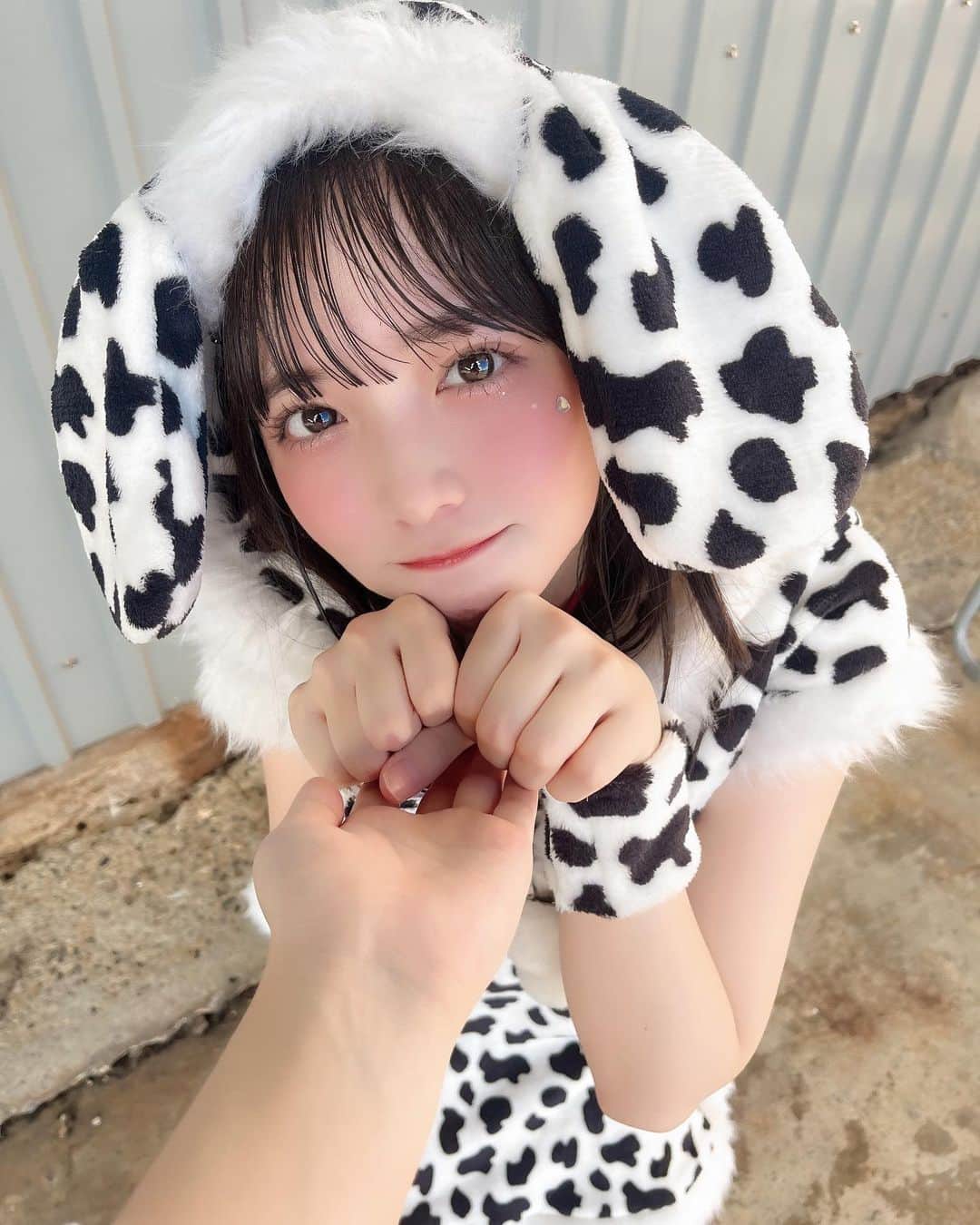 小田垣有咲さんのインスタグラム写真 - (小田垣有咲Instagram)「飼い主さん探してます🐶 #ハロウィン週間」10月29日 21時22分 - arisaodagaki