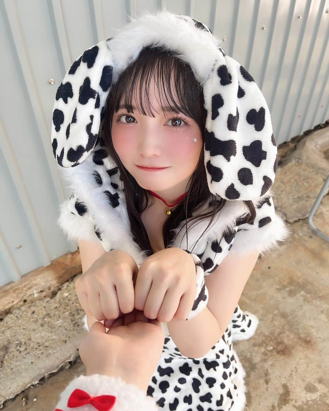 小田垣有咲さんのインスタグラム写真 - (小田垣有咲Instagram)「飼い主さん探してます🐶 #ハロウィン週間」10月29日 21時22分 - arisaodagaki