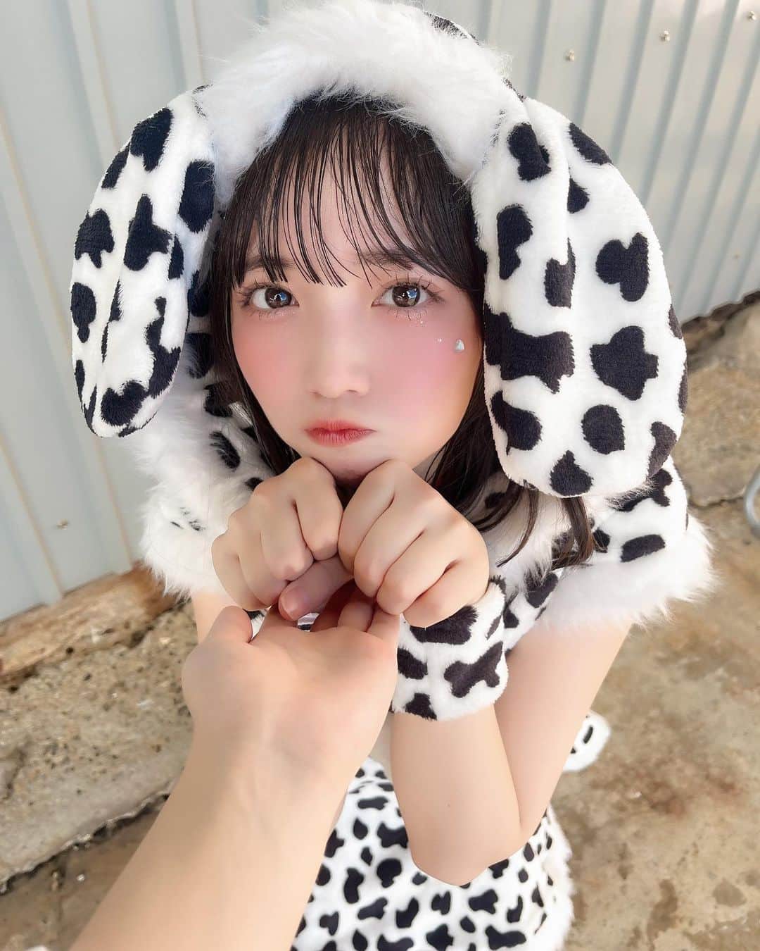 小田垣有咲さんのインスタグラム写真 - (小田垣有咲Instagram)「飼い主さん探してます🐶 #ハロウィン週間」10月29日 21時22分 - arisaodagaki