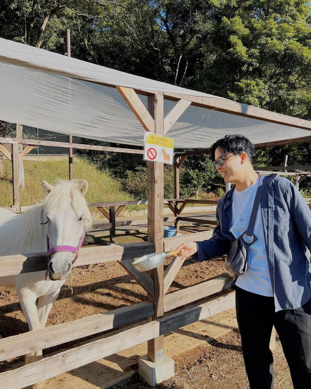 渋谷ジャパンさんのインスタグラム写真 - (渋谷ジャパンInstagram)「動物園行ってきたよ〜🦓  みんなは何の動物が好き？  #渋谷さん家は猫ざんまい  #動物園 #千葉動物公園」10月29日 21時32分 - shibuya_japan