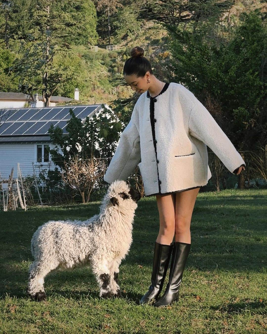 タラ・ミルクティーさんのインスタグラム写真 - (タラ・ミルクティーInstagram)「found familiar friends in Christchurch 🖤🐑🤍」10月29日 21時32分 - taramilktea