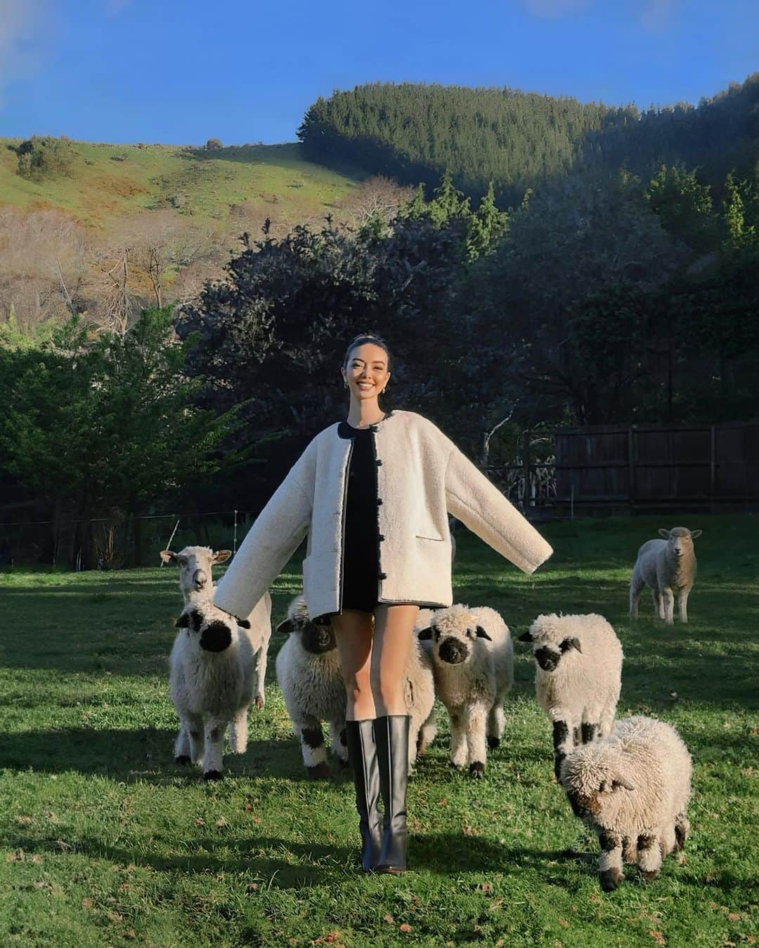 タラ・ミルクティーさんのインスタグラム写真 - (タラ・ミルクティーInstagram)「found familiar friends in Christchurch 🖤🐑🤍」10月29日 21時32分 - taramilktea