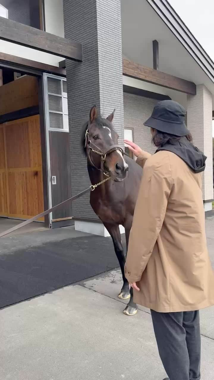 柳田悠岐のインスタグラム：「ルーラーシップさん！」