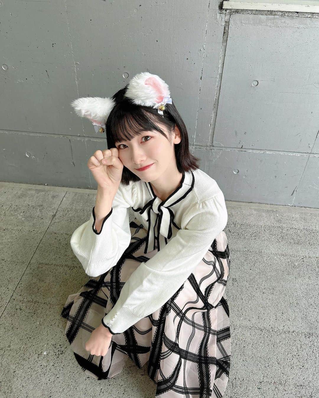 のインスタグラム：「. 猫なーみん🐈💕 Cat Naamin🐈💕  #AKB48 #握手会 #私服 #ootd #evelyn #ハロウィン #カチューシャ #白猫 #猫 #cat #猫コスプレ」