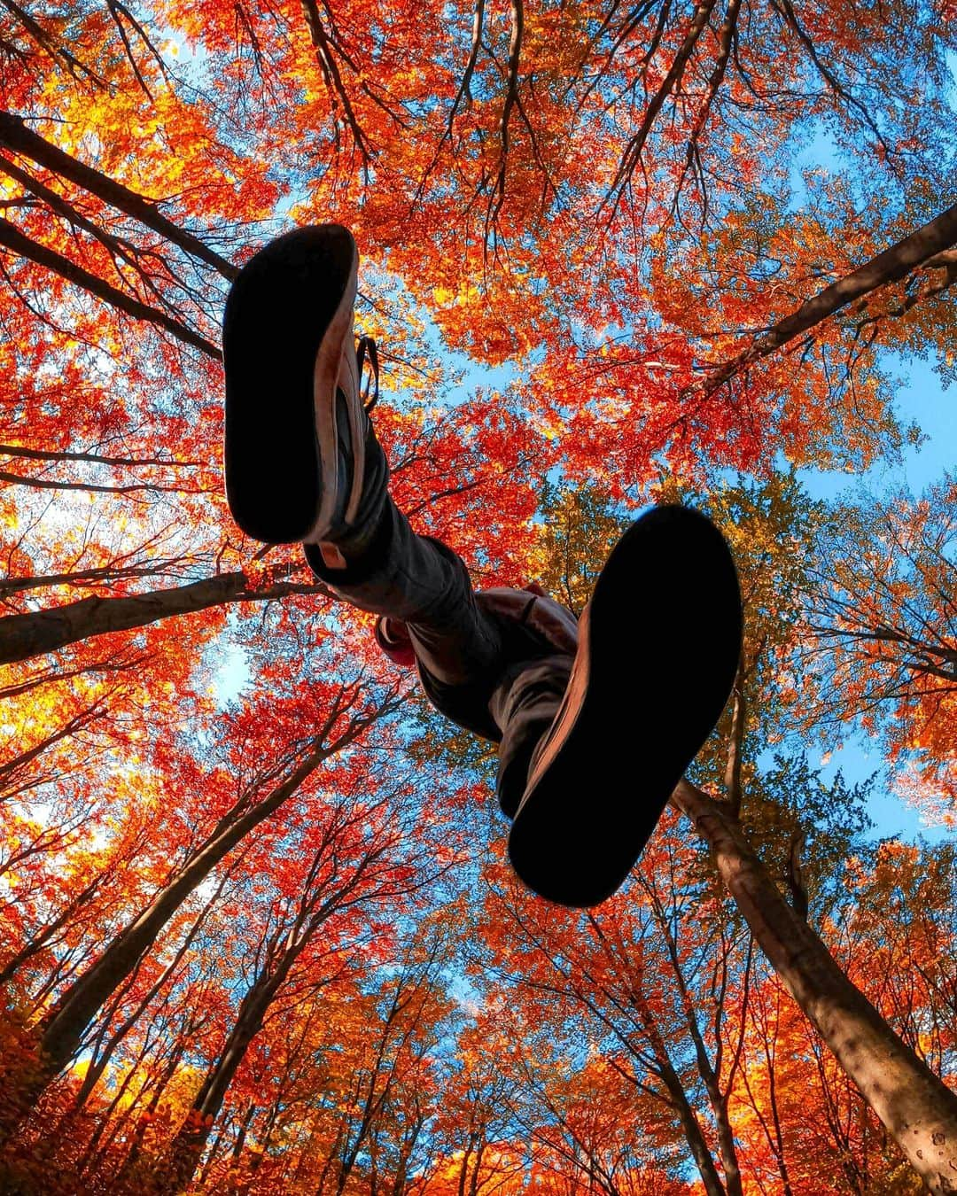 goproさんのインスタグラム写真 - (goproInstagram)「Photo of the Day: Colors like this earn an Autumn-atic GoPro Award 🍂 Snapped by @jonathanshuk, who scored $500 for this submission to GoPro.com/Awards.  #GoPro #Autumn #Fall #FallColors #Perspective」10月29日 22時00分 - gopro