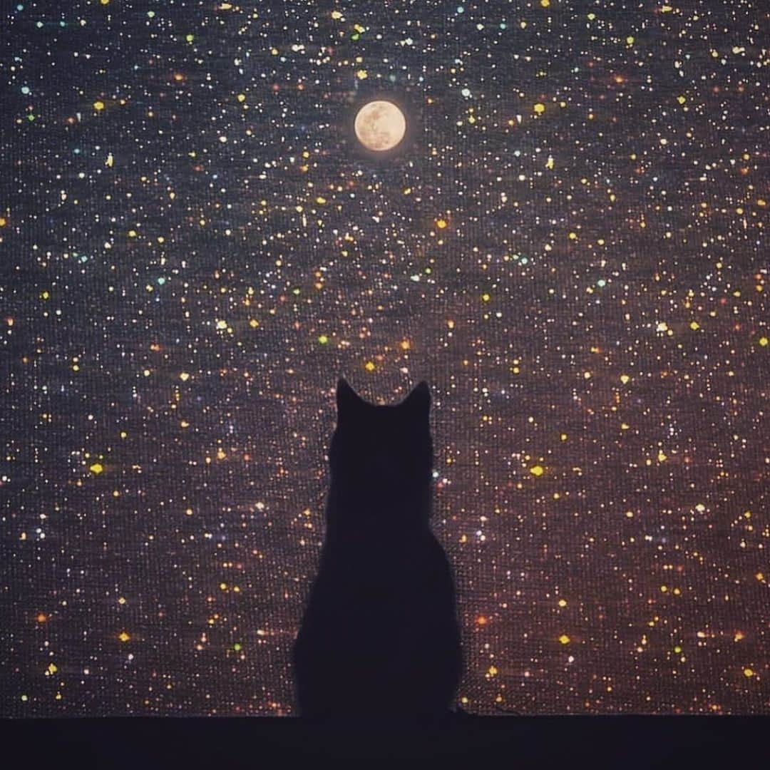 澤田友美さんのインスタグラム写真 - (澤田友美Instagram)「hold the moon.」10月29日 21時55分 - tomomi__sawada