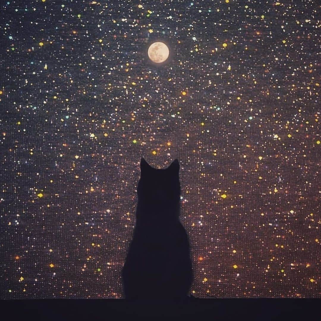 澤田友美のインスタグラム：「hold the moon.」