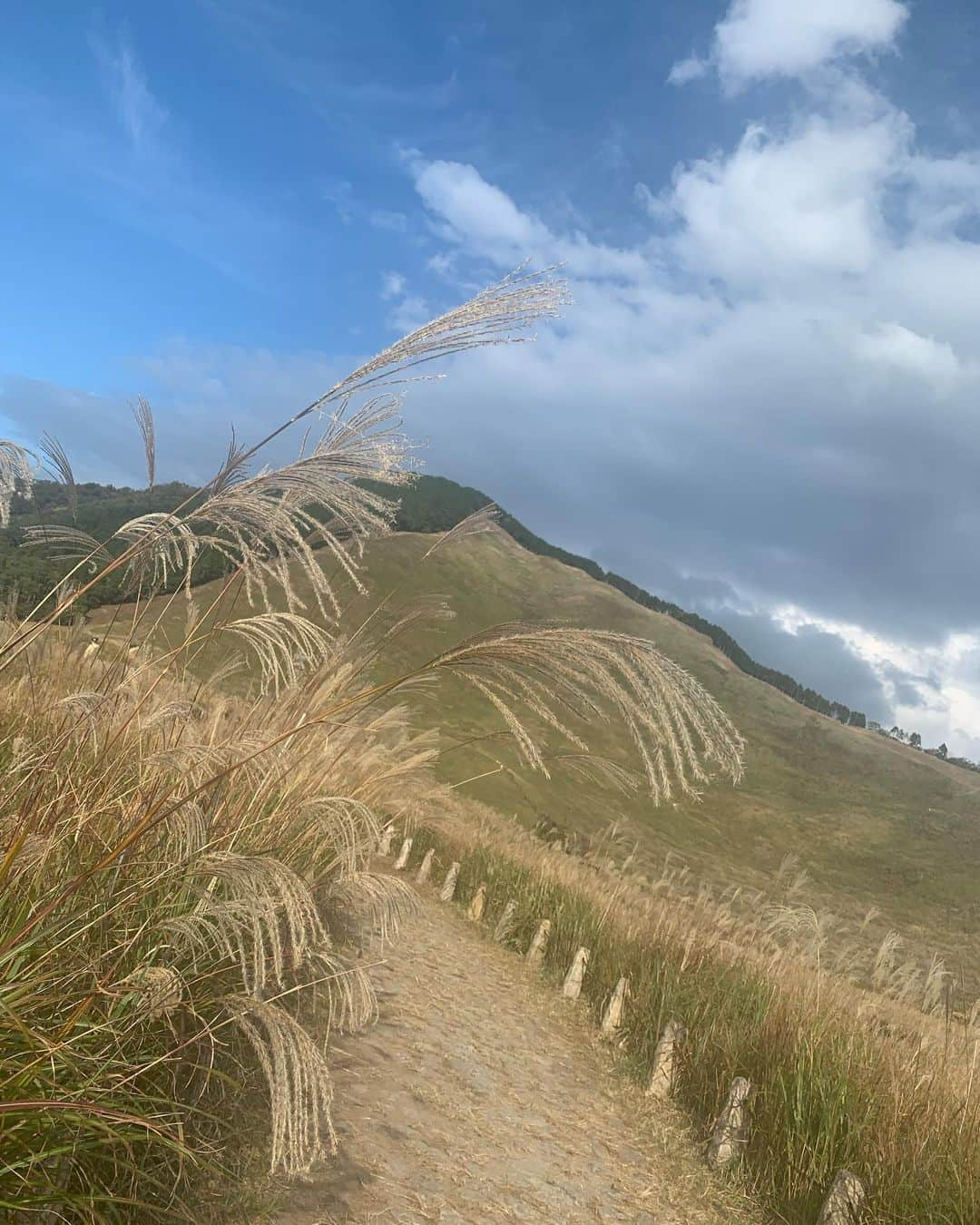 吉田桃華さんのインスタグラム写真 - (吉田桃華Instagram)「#曽爾高原 でのんびり散策🌾 大自然のなかで、 風に吹かれて癒しの時間を  #奈良県 #曽爾村 #sonivillage  #曽爾村観光大使  #すすきが見頃です　 #アメブロも書いたよ #吉田桃華」10月29日 13時45分 - momokayoshida_