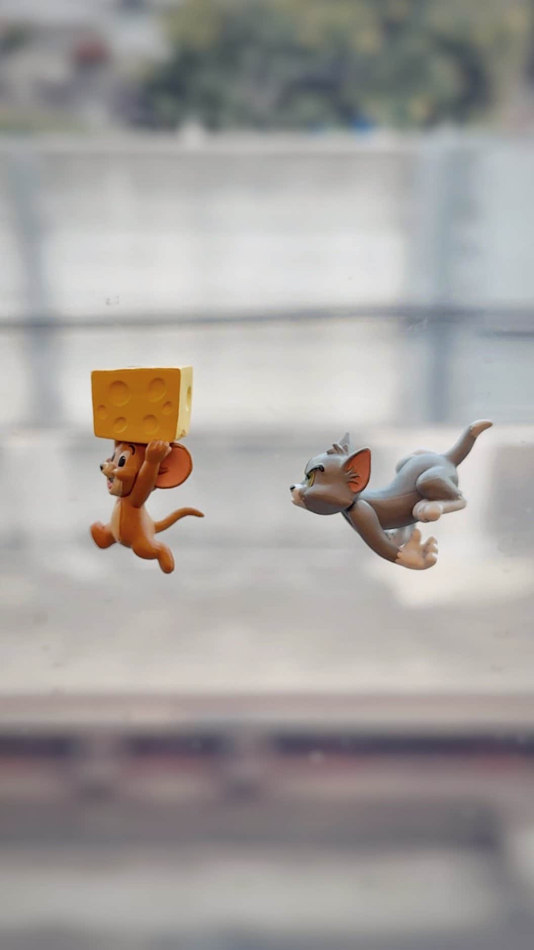 田中達也のインスタグラム：「Tom & Jerry 🧀」