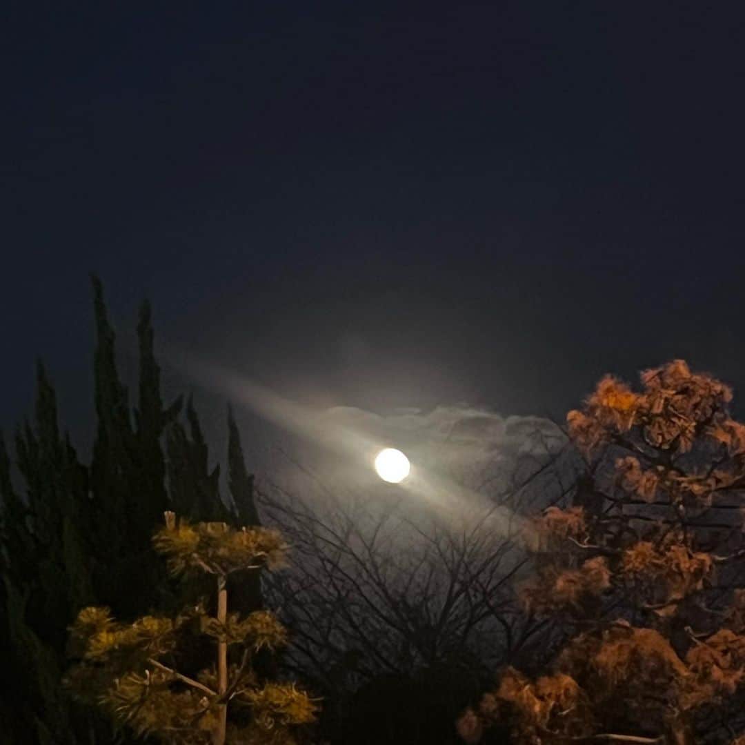 クリス智子のインスタグラム：「今日が満月のようですが、 昨夜も、まんまる、きれいでした。  夜や朝方、激しく雨が降りましたが、 今日も晴れたので、夜みられるかな。  駆け抜けた10月、満ちて、終わろうとしている。🟡 #帰り道 #鎌倉」