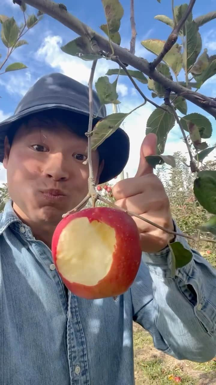 バヤシのインスタグラム：「Fresh🍎😋🍎 りんごの注文はバヤシ兄のアカウントからできます→ @bayashi_brother」