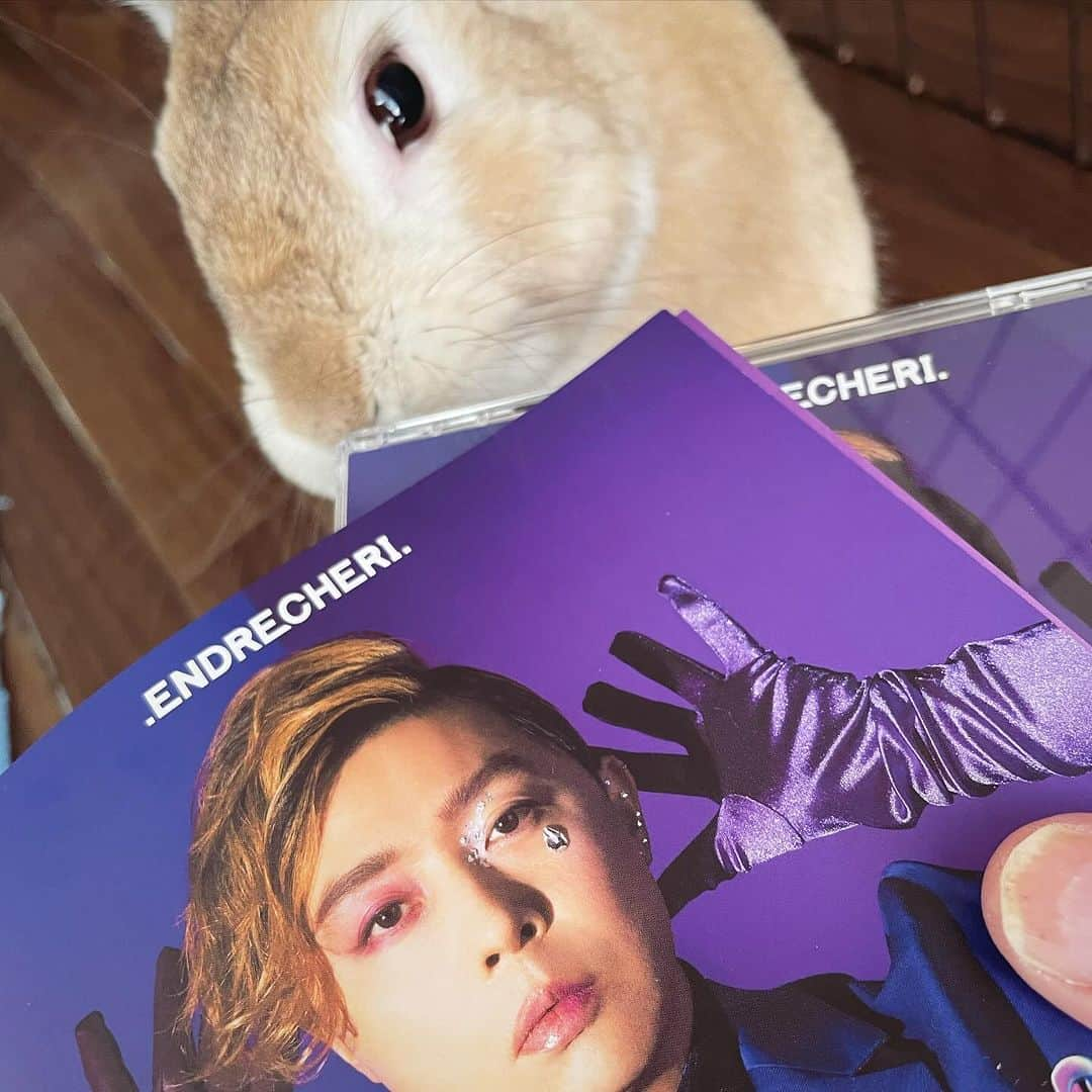 鈴木渉さんのインスタグラム写真 - (鈴木渉Instagram)「10/29本日フィジカル発売💿.エンドリケリ.の2枚組がうちにも届いたよ。#MYND #PrettyPhantom #心鬼狼　の三曲でベース弾いております！  チェックしてみてね〜  #superfunkmarket #.endrecheri. #endrecheri  #堂本剛 #🐇 #いい匂いのする音楽」10月29日 14時28分 - watarumble0223