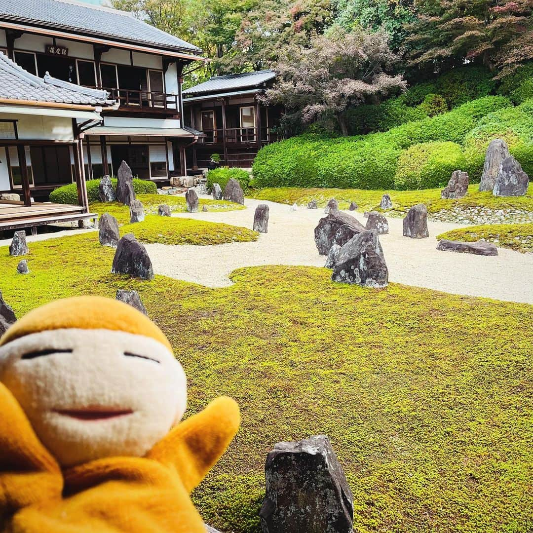 水谷さるころさんのインスタグラム写真 - (水谷さるころInstagram)「弾丸日帰り京都！！　今月立て込んでて行けないよな…と思っていたのですが、夫が「どっちも好きでしょ！　行きなよ！」と背中を押してくれたので早朝の新幹線にひとり飛び乗って行ってきたよ！　京都へ！　京都東福寺光明院にて行われている「朝倉世界一・寺田克也　あうんてん」みてきました。最高だったー。みてよかったー。きてよかったー。諦めなくて良かったー😂　光明院はお庭もすごく素敵で最高のロケーションでした。寺田さんと朝倉さんの柔と剛というか、緩と急というかバランスがとても良かった。自然光のライティングが京都のお寺ならではというな、ここでしかあり得ないライティングで、その中にある作品の佇まいがすごく素敵だった。#あうんてん　#光明院　#朝倉世界一　#寺田克也」10月29日 14時54分 - salucoro