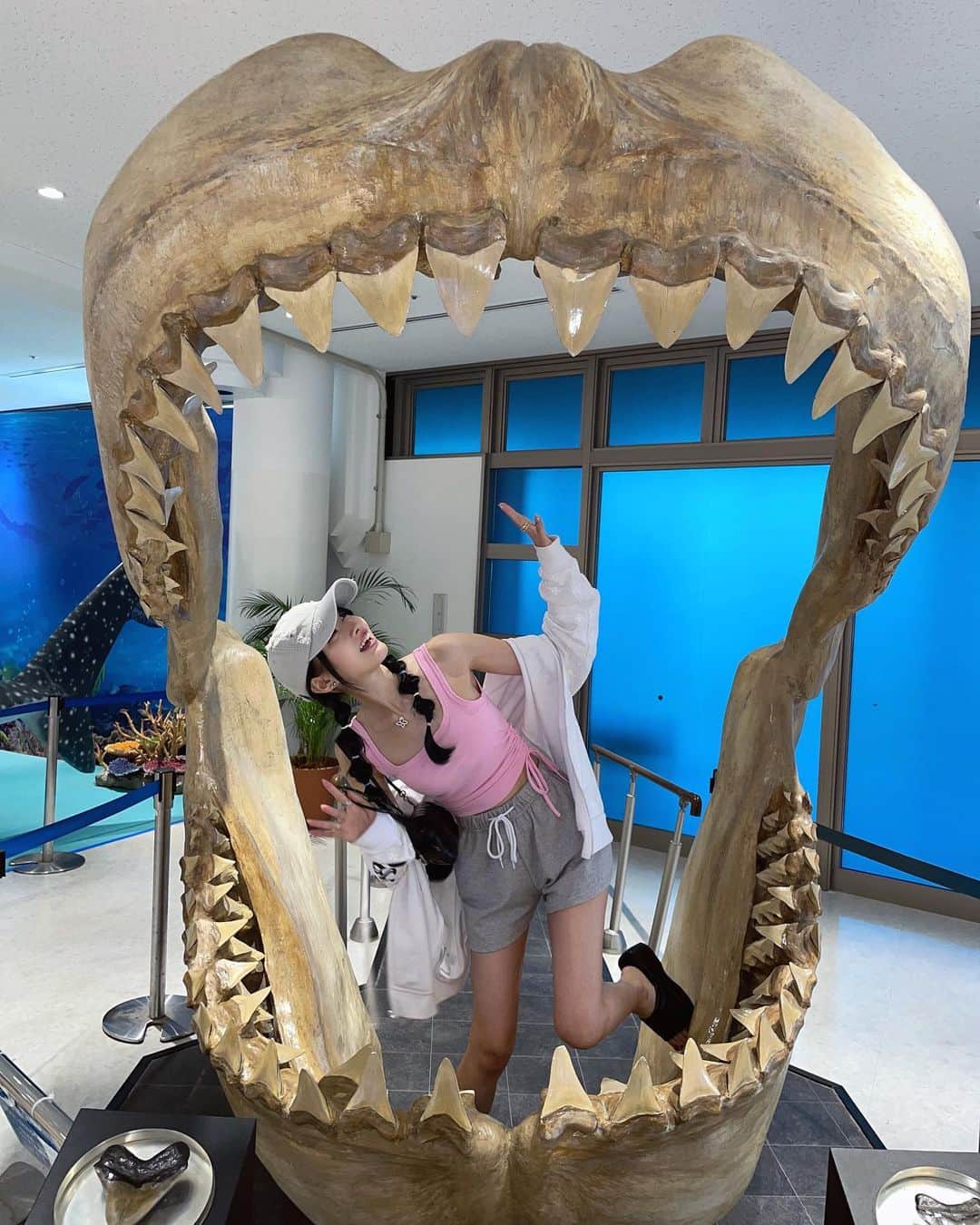 相沢みなみさんのインスタグラム写真 - (相沢みなみInstagram)「📍Churaumi Aquarium🪼🩵 Whale sharks were so powerful! . 美ら海水族館🐠🩵 ジンベイザメの迫力凄かったあ👏🏻✨ . #美ら海水族館 #美ら海 #水族館 #沖縄  #churaumiaquarium #churaumi  #okinawa #okinawajapan  . #相沢みなみ  #minamiaizawa #相澤南」10月29日 15時09分 - epoint2016