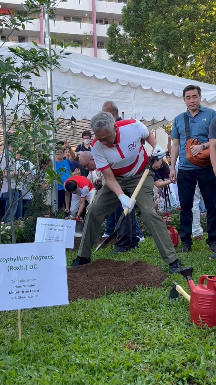 リー・シェンロンのインスタグラム：「Planted the 1,000th tree at the @amktowncouncil annual Tree Planting Day today! 🌳🌳🌳This was part of efforts across all seven divisions of AMKTC to increase green spaces and create a sustainable and enjoyable environment for residents.  Touring the exhibition booths, I learnt about the green initiatives by our community and partners, including a repair workshop, free market, and community fridge.  Singaporeans are adopting going green as a way of life. There is more to be done, but I laud the efforts of AMKTC and our residents. Kudos and keep up the good work! – LHL  (PMO Video by Farez Juraimi)」