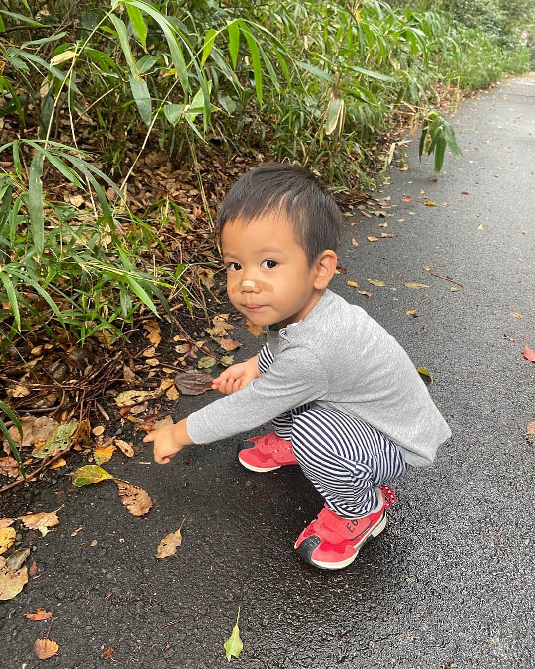 のインスタグラム：「明治神宮にて  一嬉が拾った  木の実を手に  待ってたら  ヤマガラと言う鳥が  来てくれた😬  #明治神宮 #一嬉と散歩 #ヤマガラ」