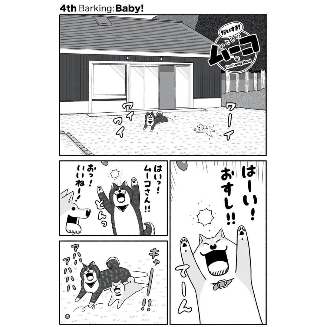 みずしな孝之のインスタグラム：「コミックデイズ連載 「だいすき！いとしのムーコ」第4話公開されました。 ムーコとおすしのワイワイ回です。  ただいま新連載キャンペーン中で、 1話から4話まで無料で読めます（11/5まで）。 1話を読むと10ポイントもらえる キャンペーンもやってます。ぜひ！  連載開始から1ヶ月ちょっと。 スタートダッシュでたくさんの方に読んで頂きたいです。 単行本もまだ決まってないので 何卒よろしくお願いします！  作品末のイイね！ボタンも押して頂けると 大変大変ありがたいです！ ご感想もお待ちしてます！  先読みの5話はポイントで読めますので よろしければそちらも！ https://comic-days.com/episode/14079602755146994654」