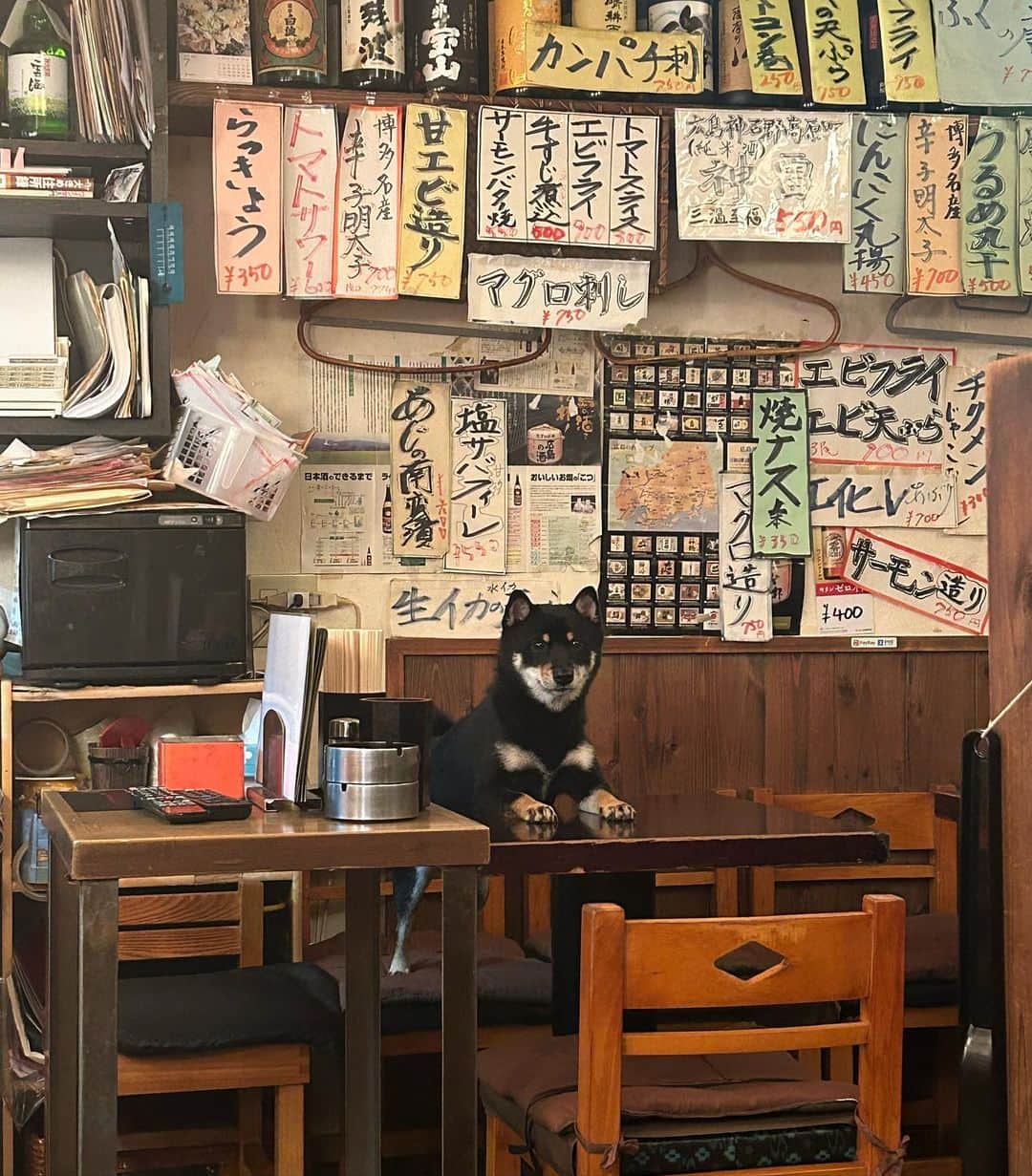 ツジトモタカさんのインスタグラム写真 - (ツジトモタカInstagram)「ツアー酒場記録② 広島 権兵衛 串鐘 新京 お食事処はまもと たま子  広島奥が深い🍻」10月29日 15時38分 - g2_nit