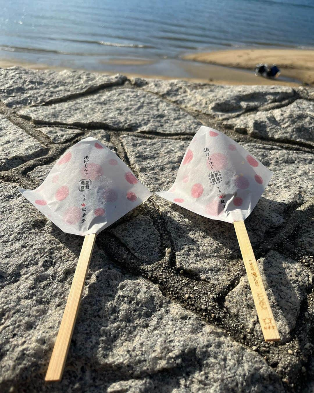 たかのりのインスタグラム：「神の島、宮島。」