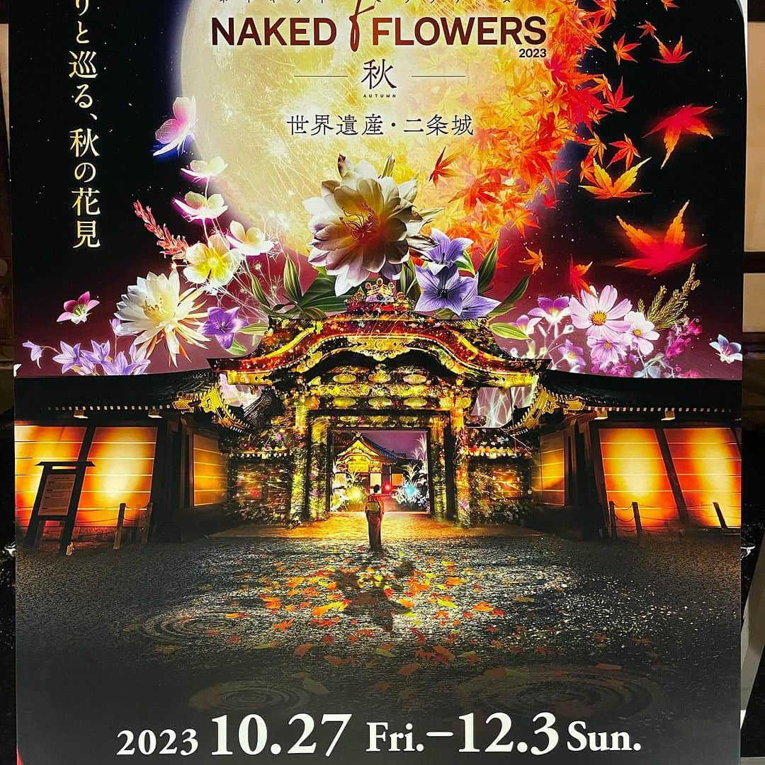 行正り香さんのインスタグラム写真 - (行正り香Instagram)「京都二条城の夜の拝観イベント、NAKED FLOWERSに行って参りました。ほぼ満月の夜に、お花と香り、彩り鮮やかなライトアップっと、秋を満喫できる舞台でした。#行正り香 #rikayukimasa #二条城 #二条城ライトアップ #nakedflowers #kyoto」10月29日 15時51分 - rikayukimasa