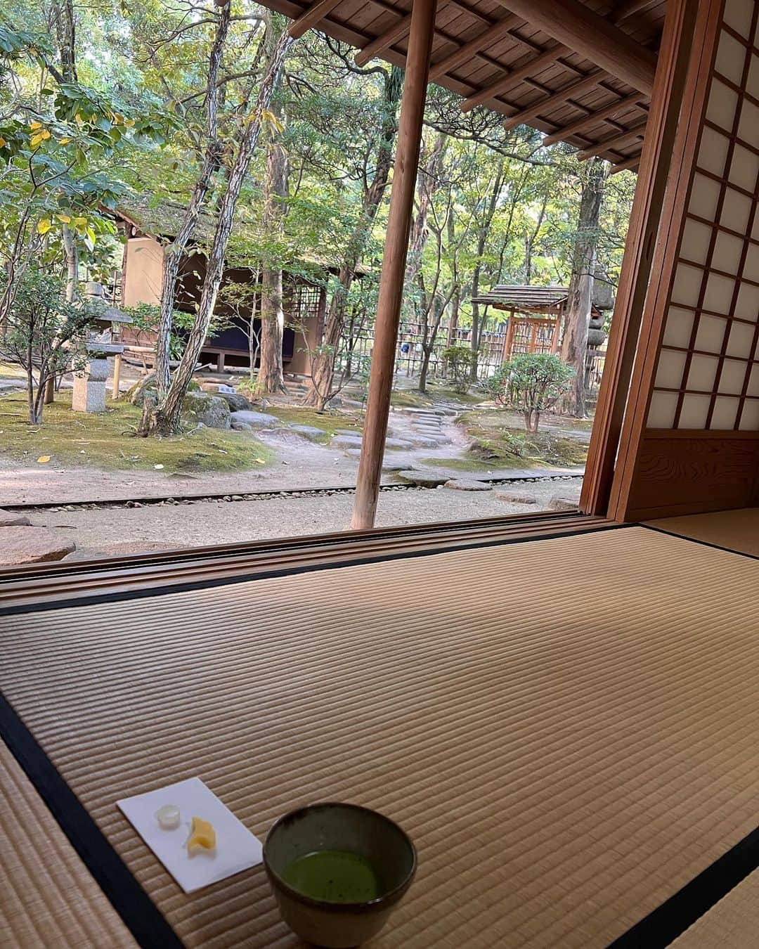 如月蓮さんのインスタグラム写真 - (如月蓮Instagram)「. 太宰府🌲 住吉神社⛩️ 楽水園🍀 聖福寺🌳 博多飯🍲 博多座🏢 ⁡ 大好きな博多❤️ 今回はこちに行くことができました😆 また絶対行きたいなぁ💕 スイーツはXにポストします🤭❤️ . . . #太宰府 #住吉神社 #楽水園 #一慶 #もつ鍋 #馬刺 #イカ様活き造り #博多座 #星組 #如月蓮 #RENスタグラム」10月29日 16時45分 - kisaragi.ren2