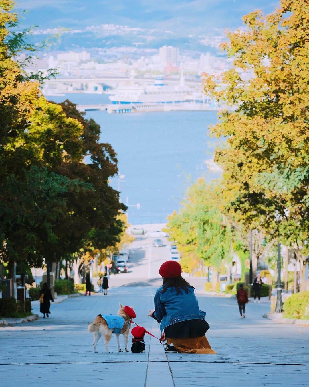 柴犬 けんしろう ゆりあのインスタグラム：「🐶❤️🐶  ゆりあ大冒険の北海道旅 まとめるのに2週間もかかりましたが これにして、おしまいです🐶  お付き合い頂いたみなさん コメント下さったみなさん 長々ありがとうございました！  埼玉のお父さんお母さんも コメントに喜んでました🥰  2泊3日、行ってみたいところを ぎゅぎゅーっと詰め込んだ私のプランに のっかってくれた家族みんなに感謝です🙏❤️  年が明ければ14歳を迎えるゆりあと こんな夢物語をまた作れますように..🥺  #八幡坂 #函館  #北海道  #hakodate  #hokkaido   #bestjapanpics #tokyocameraclub  #whim_fluffy #barked #igersip #japan_of_insta #9gag #team_jp_ #photo_shorttrip  #lovers_nippon #art_of_japan_  #ptk_japan #japan_daytime_view」