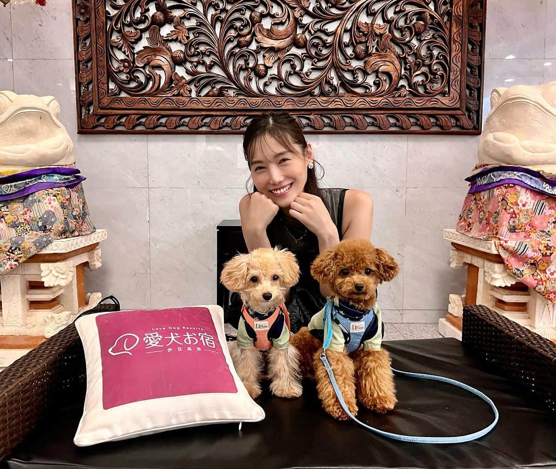 島村みやこのグルメインスタ