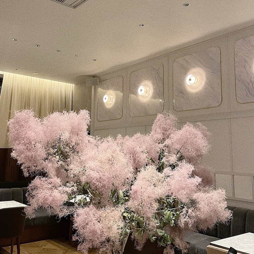 夢花のインスタグラム